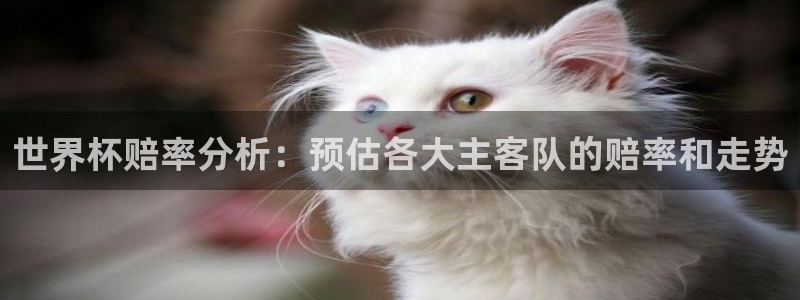 2026世界杯预选赛：世界杯赔率分析：预估各大主客队的赔率和走势