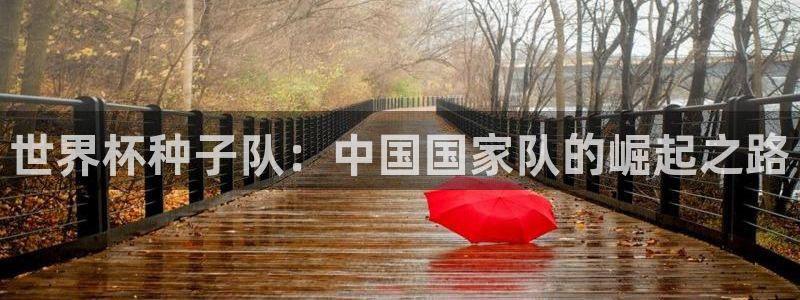 2026世界杯中国队：世界杯种子队：中国国家队的崛起之路