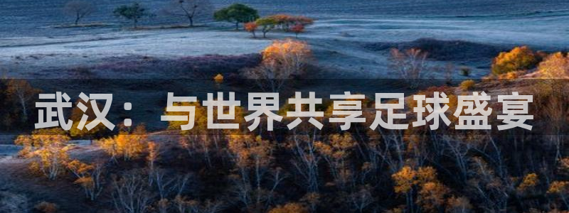 世界杯：武汉：与世界共享足球盛宴