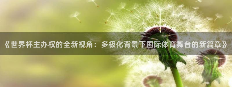 今年的世界杯：《世界杯主办权的全新视角：多极化背景下国际体育舞台的新篇章》