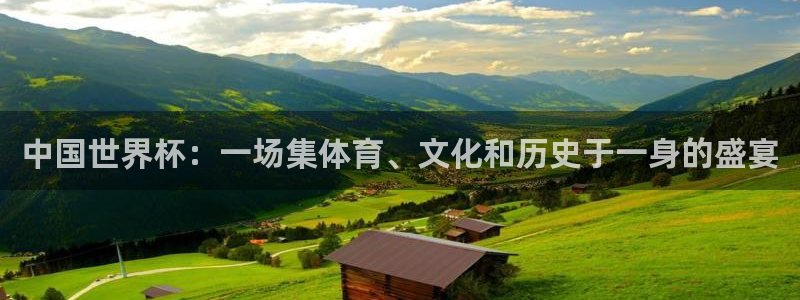 世界杯足球2026：中国世界杯：一场集体育、文化和历史于一身的盛宴