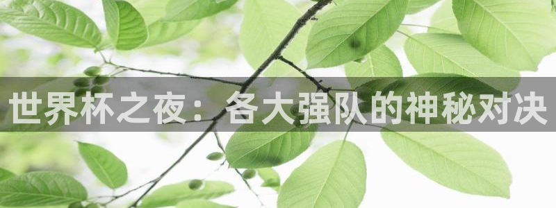 世界杯直播网站：世界杯之夜：各大强队的神秘对决