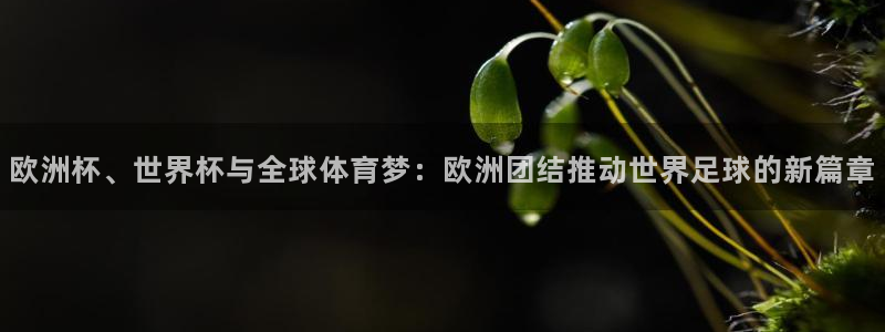 2026年世界杯赛程：欧洲杯、世界杯与全球体育梦：欧洲团结推动世界足球的新篇章