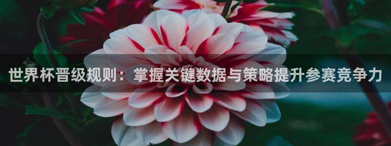 2026年男足世界杯：世界杯晋级规则：掌握关键数据与策略提升参赛竞争力