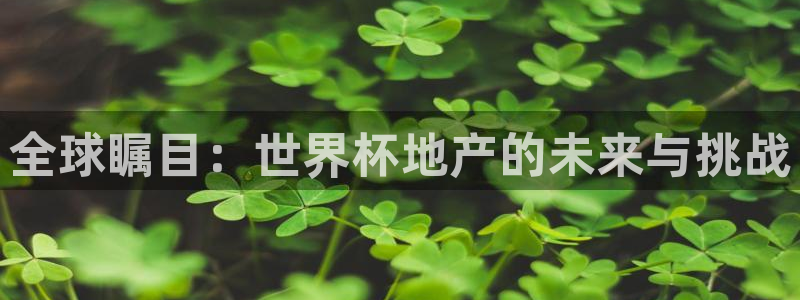 预选赛世界杯：全球瞩目：世界杯地产的未来与挑战