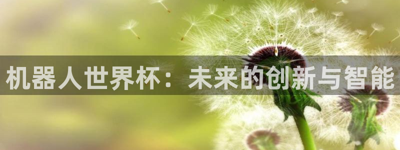 世界杯足球赛2026赛程时间：机器人世界杯：未来的创新与智能