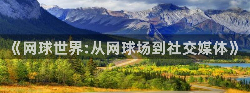 美国世界杯：《网球世界:从网球场到社交媒体》
