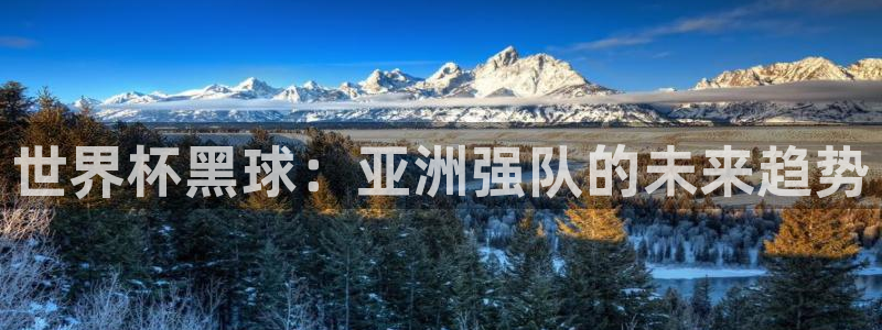 世界杯 中国：世界杯黑球：亚洲强队的未来趋势